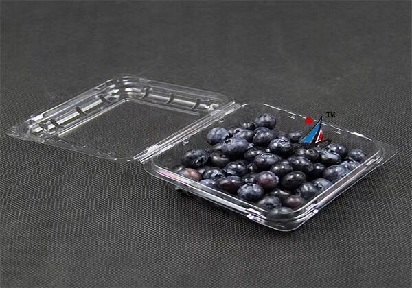 蓝莓透明盒