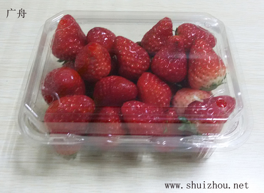 004草莓吸塑盒