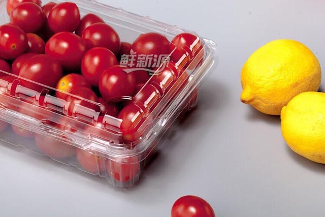 小番茄透明食品盒