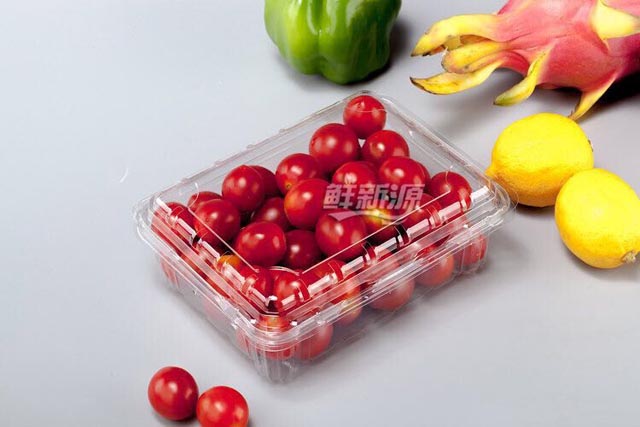 小番茄透明PET吸塑盒