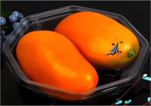 芒果吸塑盒